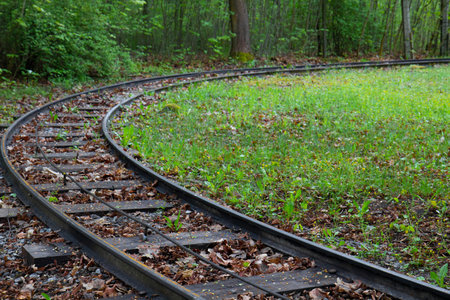 View along the railway tracks, turning left, through the forest and bushesの写真素材
