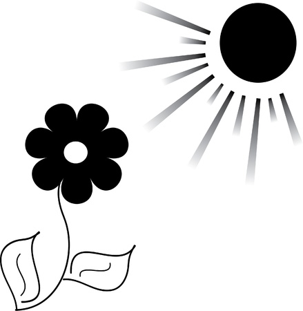 Flower and the sun, illustrationのイラスト素材