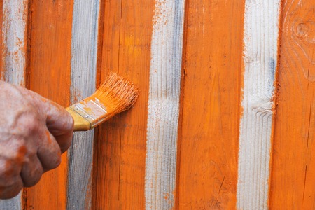 Tassel in bright orange paint, paint the tree.の写真素材