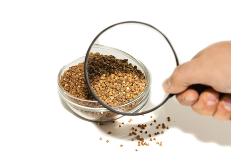 Buckwheat in a glass bowl, isolated on white, under a magnifying glassの写真素材