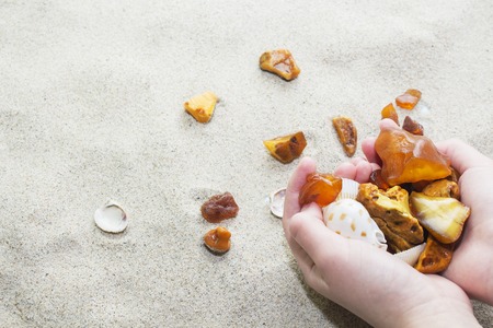 pieces of amber and seashells in female hands on a background of sandの写真素材