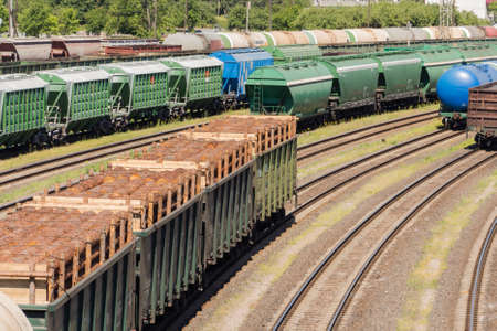railway cars loaded with forest, the train transports trees. Many different cars