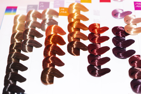 sample hair colors, different shades of hair directory of hair colors.の写真素材