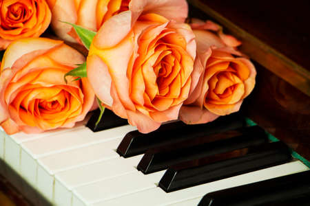 Bouquet of pink roses on the piano keyboard, romantic atmosphere. A gift from fans.の写真素材