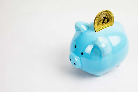 A piggy bank with a coin - bitcoin. Litecoin Ethereum On a light background
