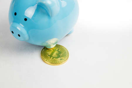 A piggy bank with a coin - bitcoin. Litecoin Ethereum On a light backgroundの写真素材