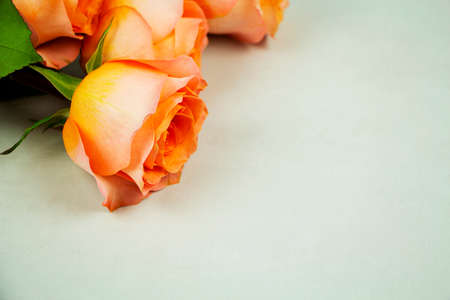 Background for Valentines Day, March eighth, mothers Day, with pink roses. with space to copyの写真素材