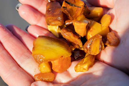 Amber. There are many different transparent pieces of amber, small and large in womens hands