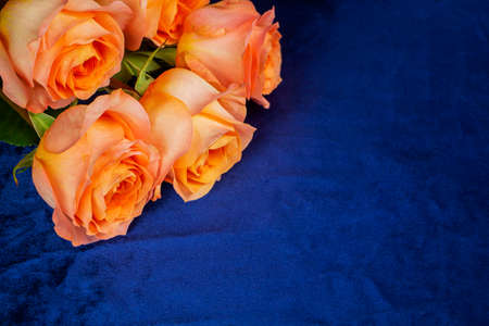 Background for Valentines Day, March eighth, mothers Day, with pink roses. with space to copyの写真素材