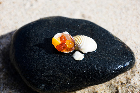 Amber nuggets, and shells on a stand on a natural background. Amber found on a beach on the Baltic Sea coastの写真素材