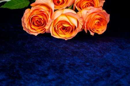 Background for Valentine's Day, March eighth, mother's Day, with pink roses. with space to copy.の写真素材