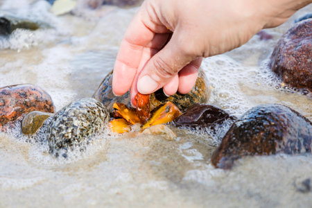 Beautiful pieces of amber in the hand of the sea background. A glowing wavy piece of amber in the palm of your hand. The sunstoneの写真素材