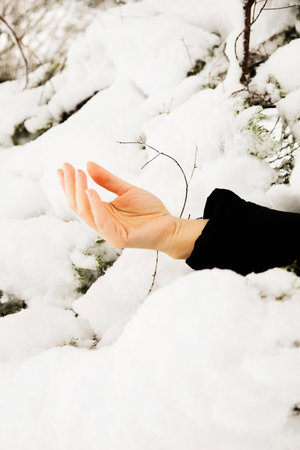 an arm sticking out from under the snow, an avalanche, a snowfall, a disasterの写真素材