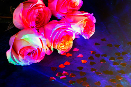 Background for Valentine's Day, March eighth, mother's Day, with pink roses. with space to copy.の写真素材