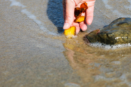 Beautiful pieces of amber in the hand of the sea background. A glowing wavy piece of amber in the palm of your hand. The sunstone.の写真素材