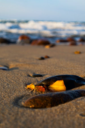 A beautiful piece of amber lies on the warm sand of the beachの写真素材