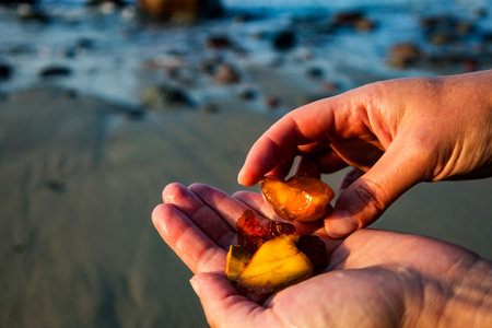 A person is gently holding a beautiful piece of amberの写真素材