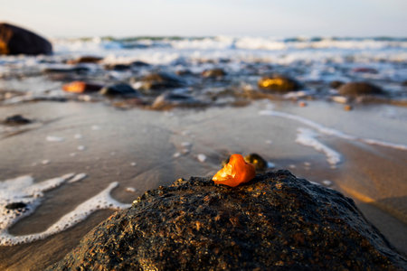 A beautiful piece of amber lies on the warm sand of the beachの写真素材