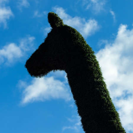 The head of artificial giraffes against the cloud sky.の写真素材