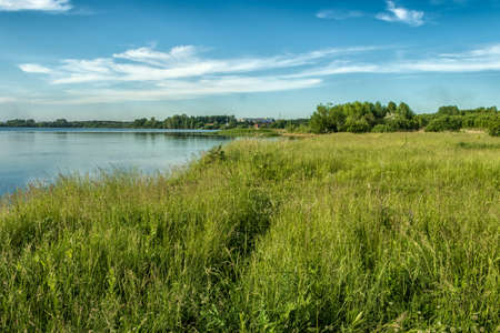 Overgrown lake shore on a bright sunny day.