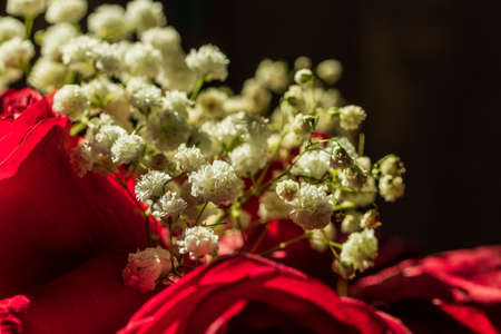 Part of the bouquet, consisting of roses and hydrangeas. The photo was taken in Chelyabinsk, Russia.の写真素材