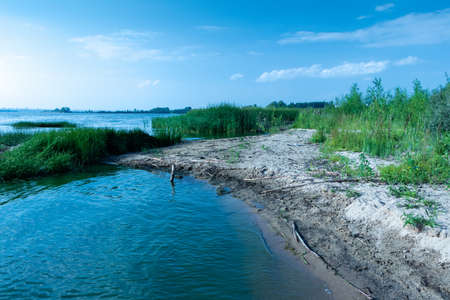 A picturesque place of nature on the shore of the Shershnevsky reservoir. The photo was taken in...