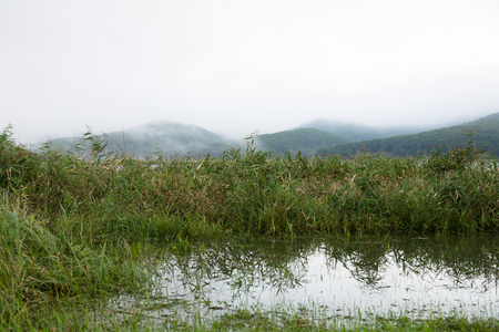 And hills covered by mist on the opposite side.の写真素材