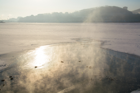 Ducks Swim in a Freezing Winter Pond Among Ice And Snow. Cityscape on the Background.の写真素材