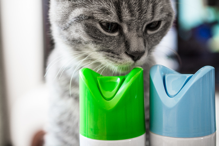 Cat is sniffing cylinder of air freshener. Two cylinders with blue and green caps.の写真素材