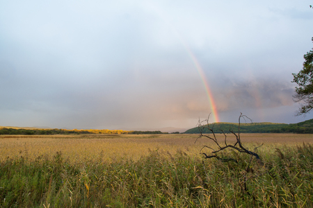Landscape with wild field, dramatic sky and rainbow. Rainbow between the sky and green hill.の写真素材