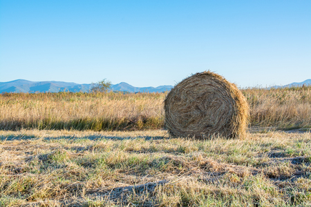 Farmland with haystacks in autumn. Grass plated by hoarfrost.