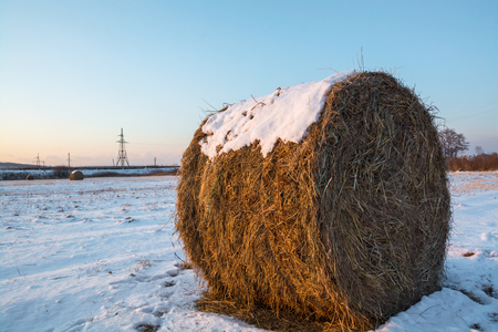 Haystack on the field covered by snow.の写真素材