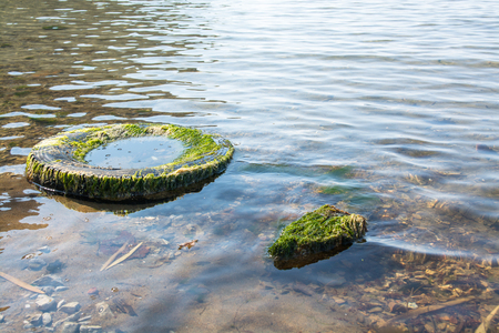 Old dock tire immersed in water. Abandoned tire in a lake.の写真素材