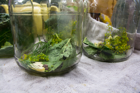 Preparation to marinate cucumbers. Garlic,spices and herbs in a glass jar for pickling.の写真素材
