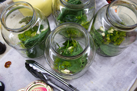 Preparation for pickling vegetables. Spices and herbs for making pickles.の写真素材