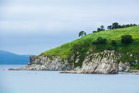 Seaside with white cliffs covered with greenery. Summer overcast day.の写真素材