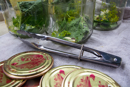 Preparation to marinate cucumbers. Garlic,spices and herbs in a glass jar for pickling.の写真素材