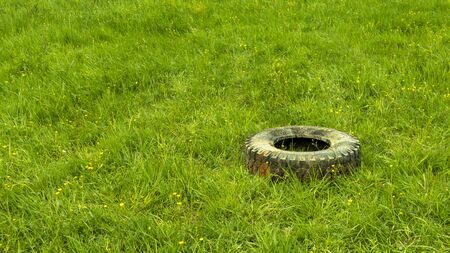 old rubber tire from a truck in the grassの写真素材