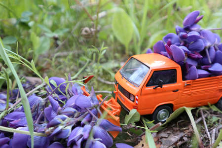 orange toy car with purple flowers in the back stands on the groundの写真素材
