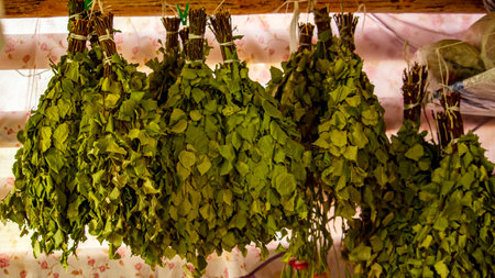 fresh birch brooms are dried on a rope in a saunaの写真素材