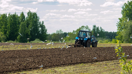 a blue tractor plows a field before sowing a crop