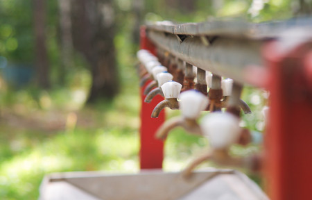 Several water faucets for washing hands are positioned in a row. Look along the row. Made selective focus on one of the cranes.の写真素材