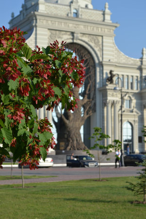 Palace of Agriculture Kazanの写真素材