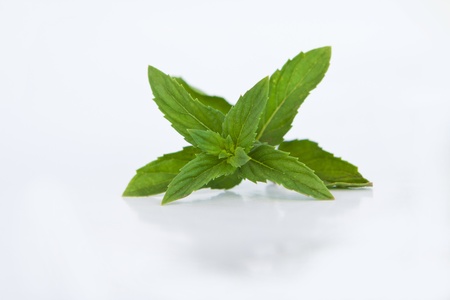 Mint