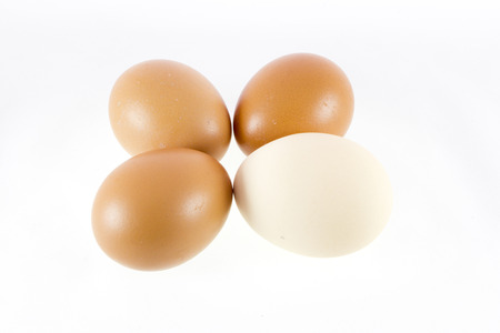 Four different eggs isolated on white backgroundの写真素材