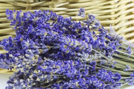 Closeup picture of a bunch of purple lavender flowersの写真素材