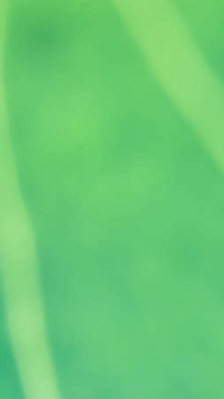 Natural green organic gradient spotted background. Abstract green tones for graphic design. Fresh spring colors. Calm relaxing vivid colors pattern. Ecology, Biology and environmental conservation.の写真素材