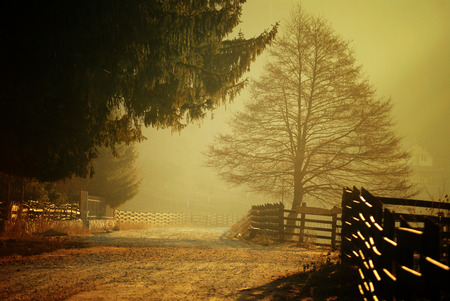 Golden Morning Haze over a part of Poiana Marului, Romania.の写真素材