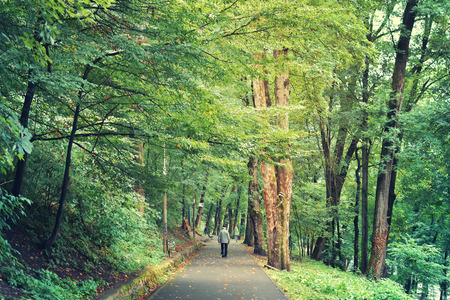 Park in the summerのeditorial素材