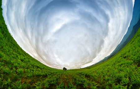 Stereographic panoramic projection of a green field with an aesthetic treeの写真素材